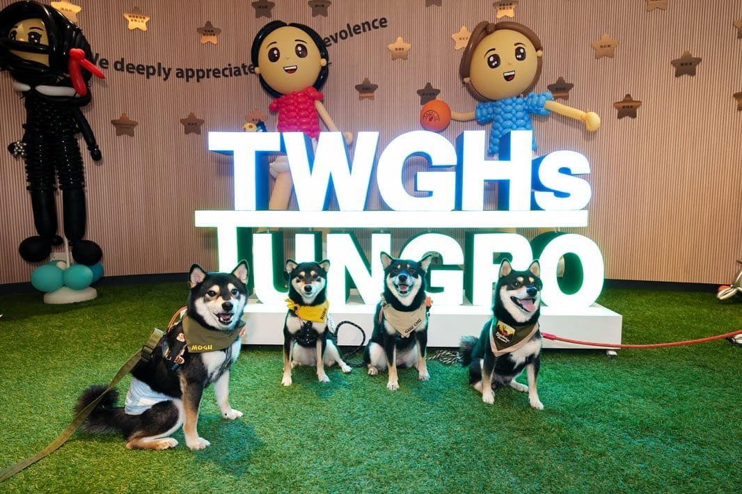 [Activity Review] – 「TungPo Pet Carnival」